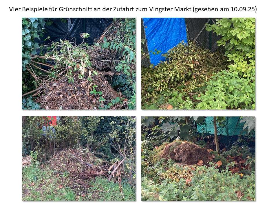 Bild zu gemeldetem Anliegen vom *2025-10-18 15:52:48
