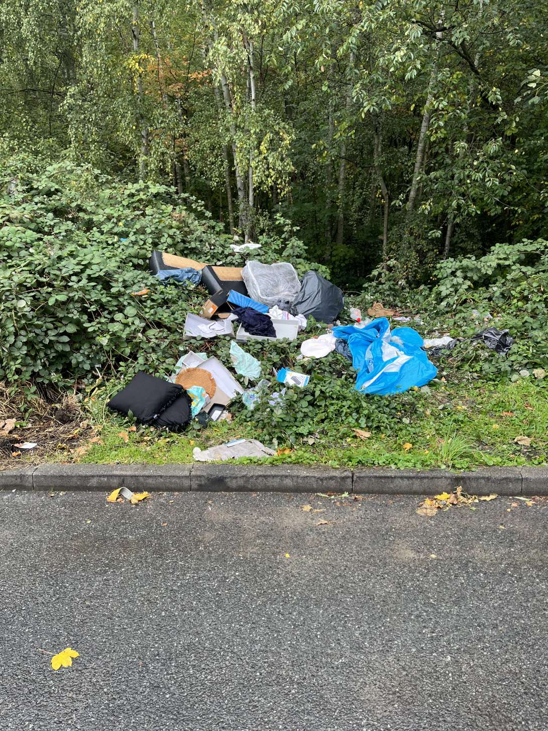 Bild zu gemeldetem Anliegen vom *2025-10-07 00:28:54