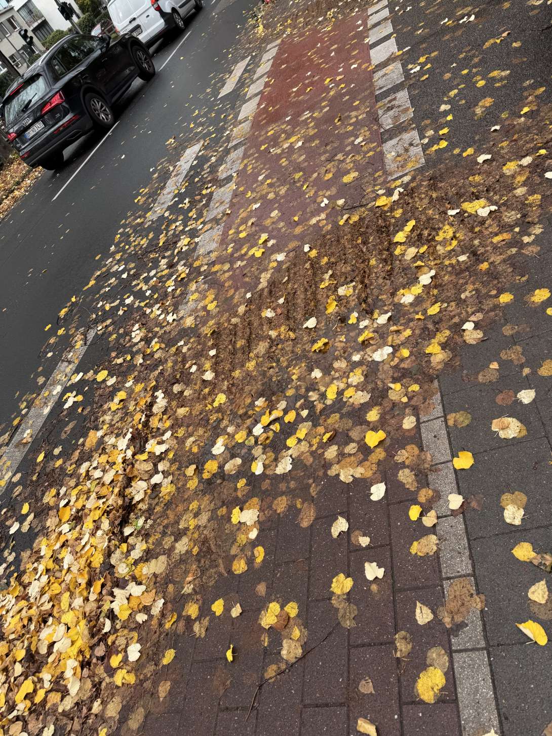 Bild zu gemeldetem Anliegen vom *2025-10-28 14:53:11