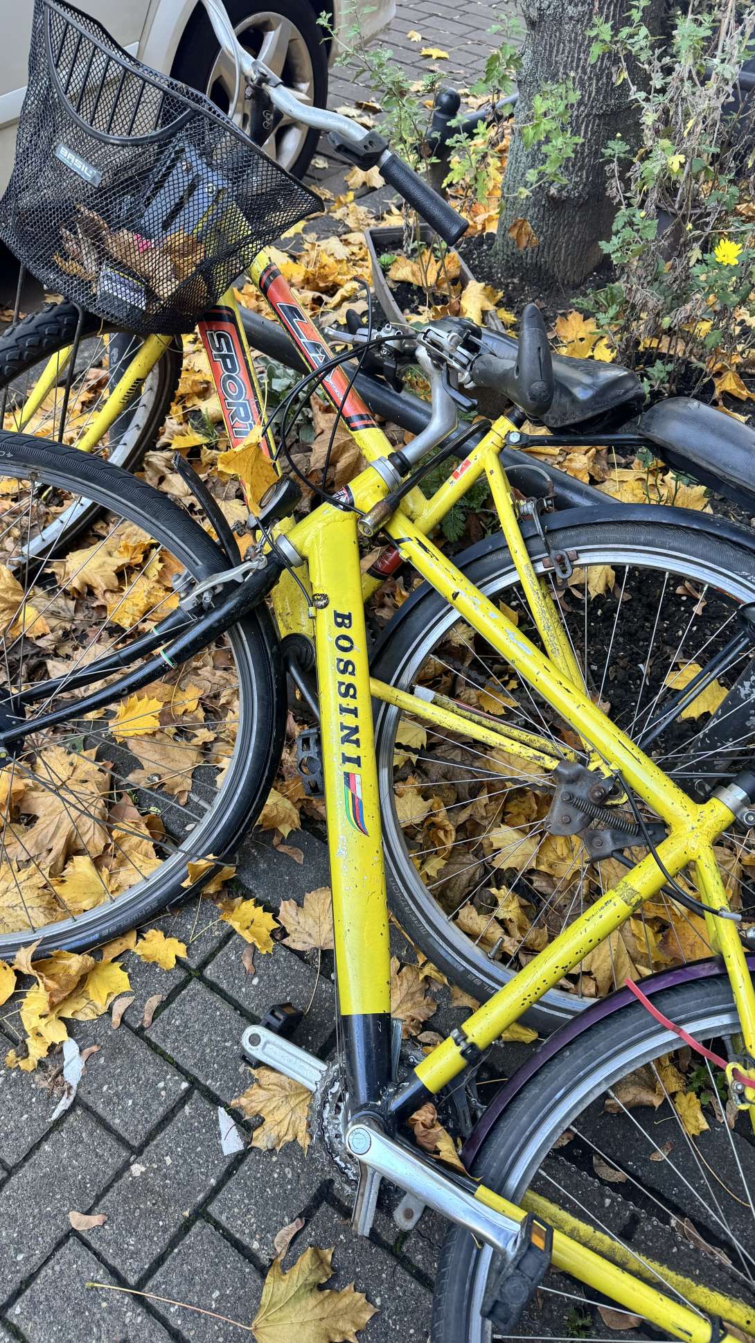 Bild zu gemeldetem Anliegen vom *2025-10-30 15:30:42