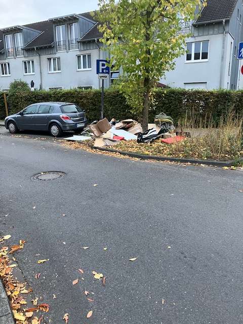 Bild zu gemeldetem Anliegen vom *2025-10-19 06:36:33