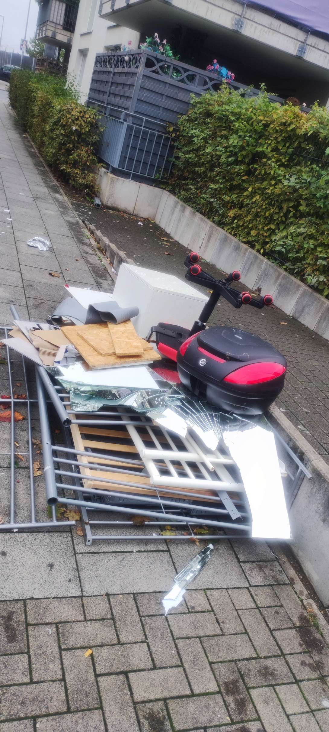 Bild zu gemeldetem Anliegen vom *2025-10-08 19:46:43