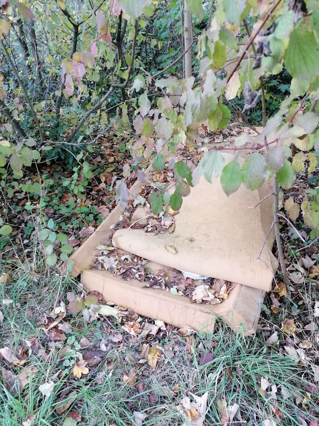 Bild zu gemeldetem Anliegen vom *2025-10-29 08:02:35