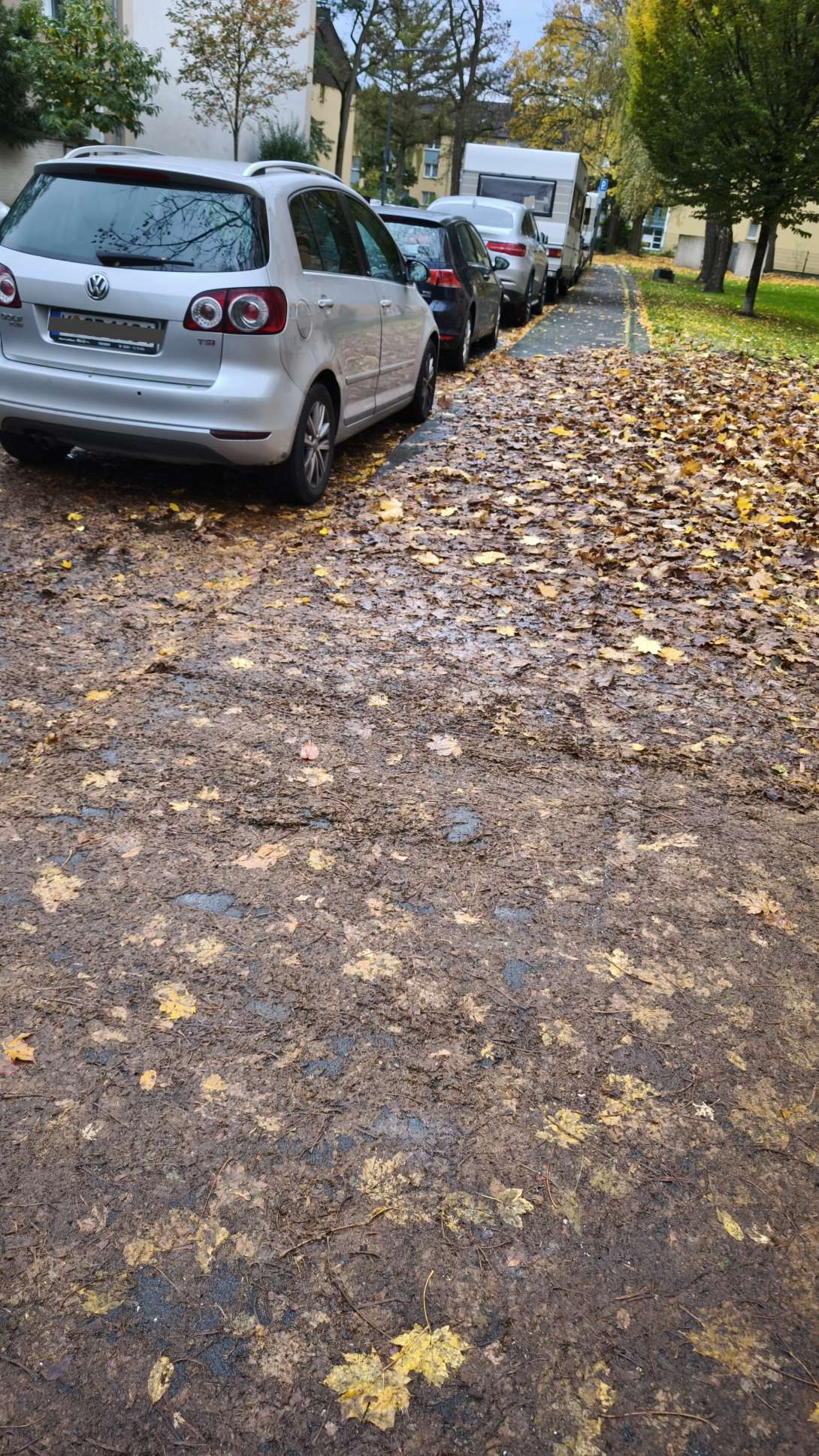 Bild zu gemeldetem Anliegen vom *2025-10-29 21:27:30