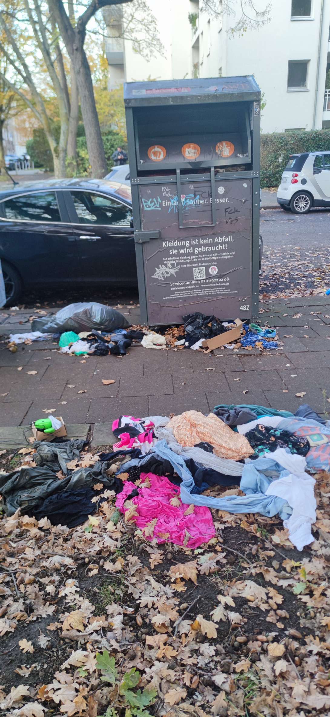 Bild zu gemeldetem Anliegen vom *2025-10-30 18:03:05