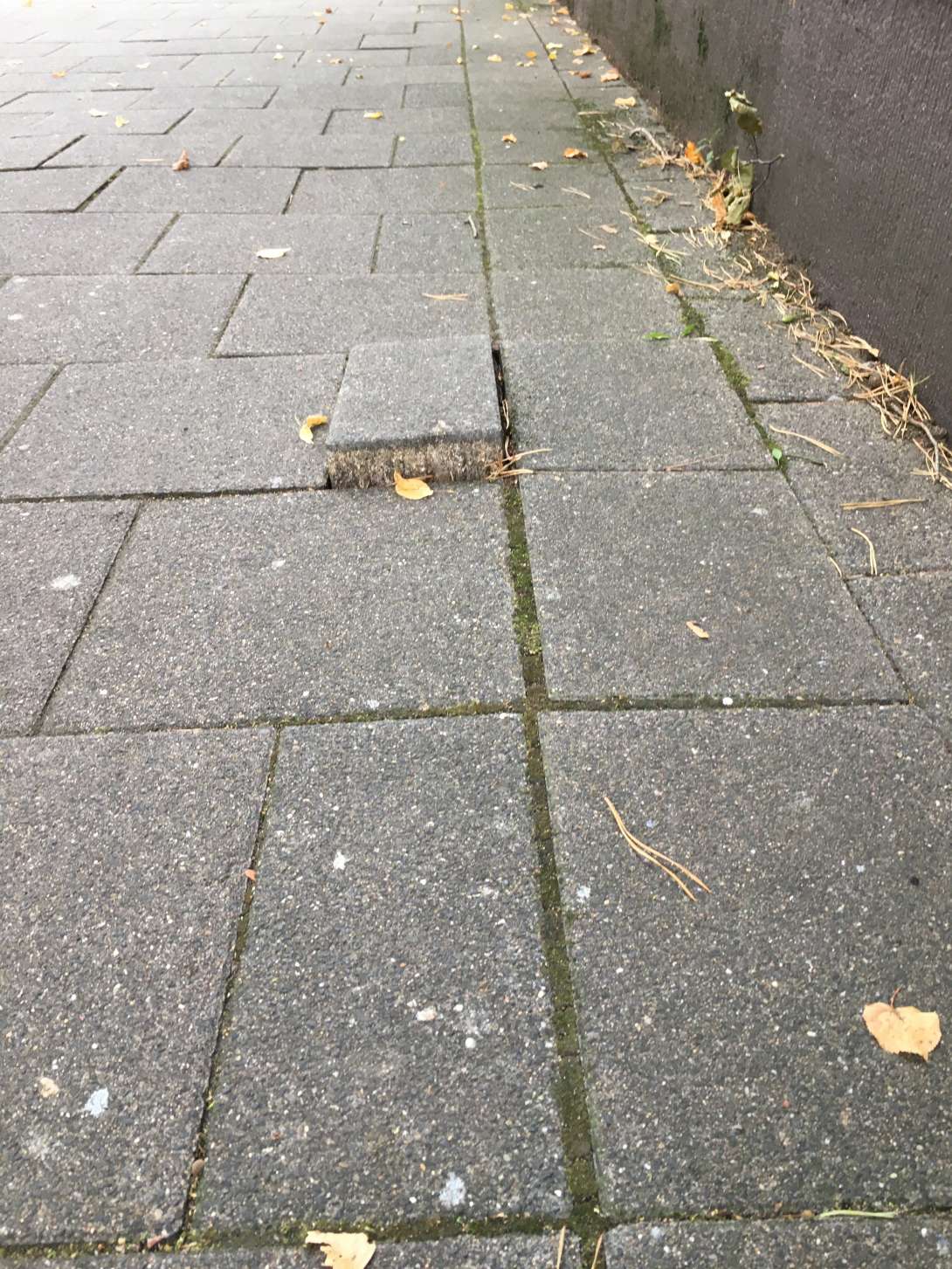 Bild zu gemeldetem Anliegen vom *2025-10-02 14:55:58