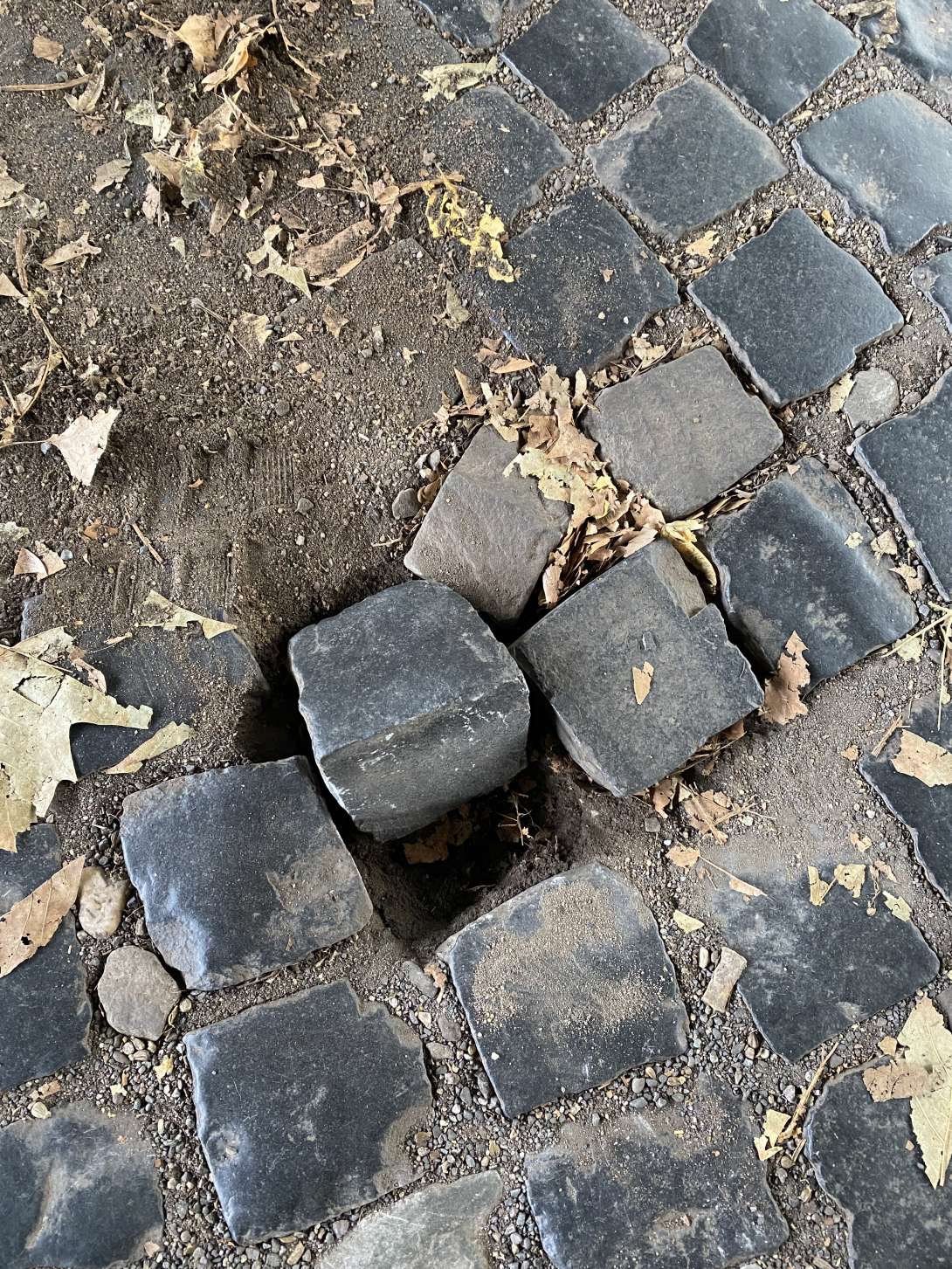 Bild zu gemeldetem Anliegen vom *2025-10-31 10:55:30