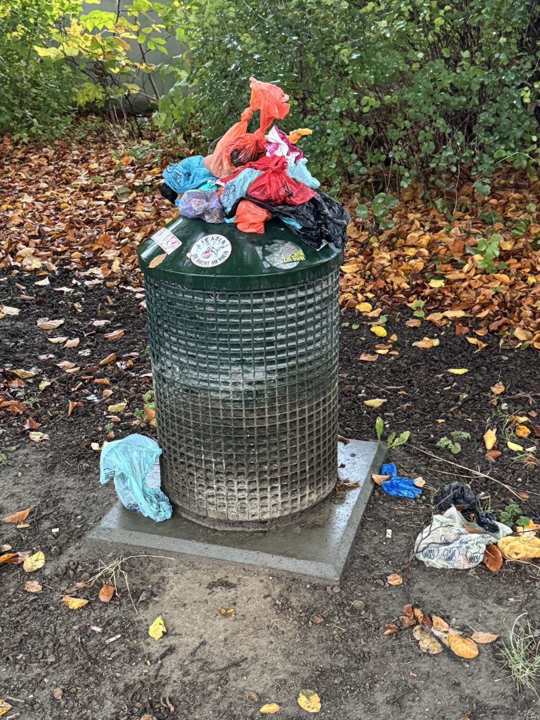 Bild zu gemeldetem Anliegen vom *2025-10-28 14:31:39