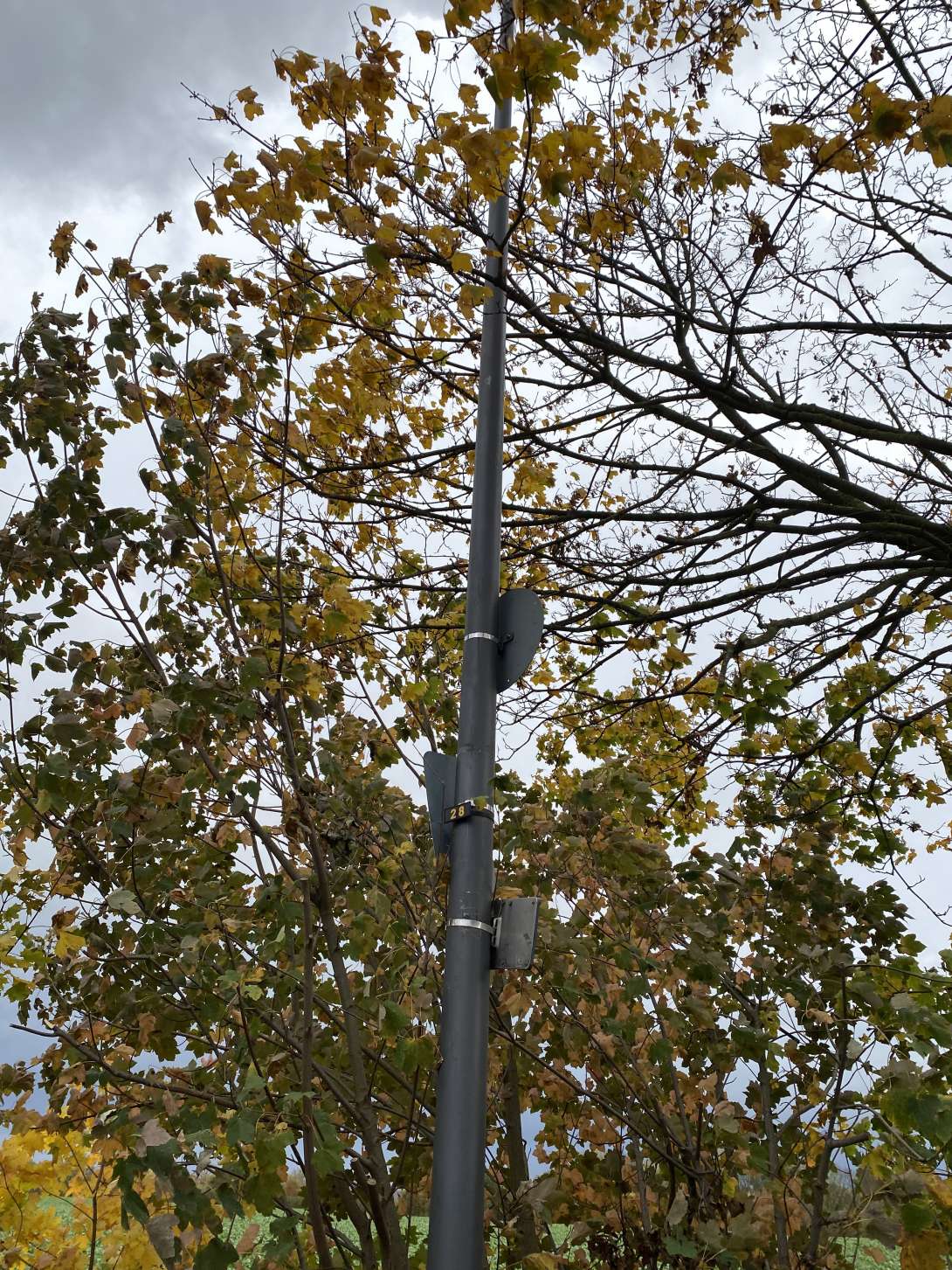 Bild zu gemeldetem Anliegen vom *2025-10-27 11:10:57