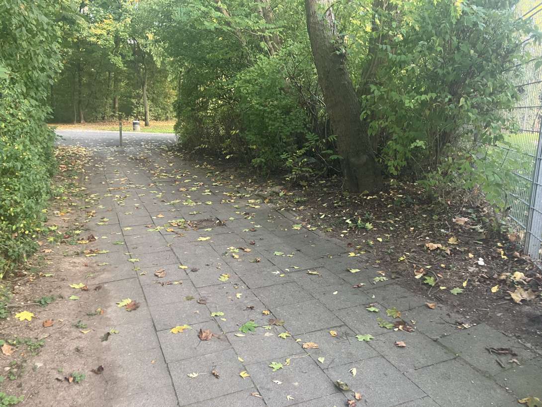 Bild zu gemeldetem Anliegen vom *2025-10-19 15:29:06