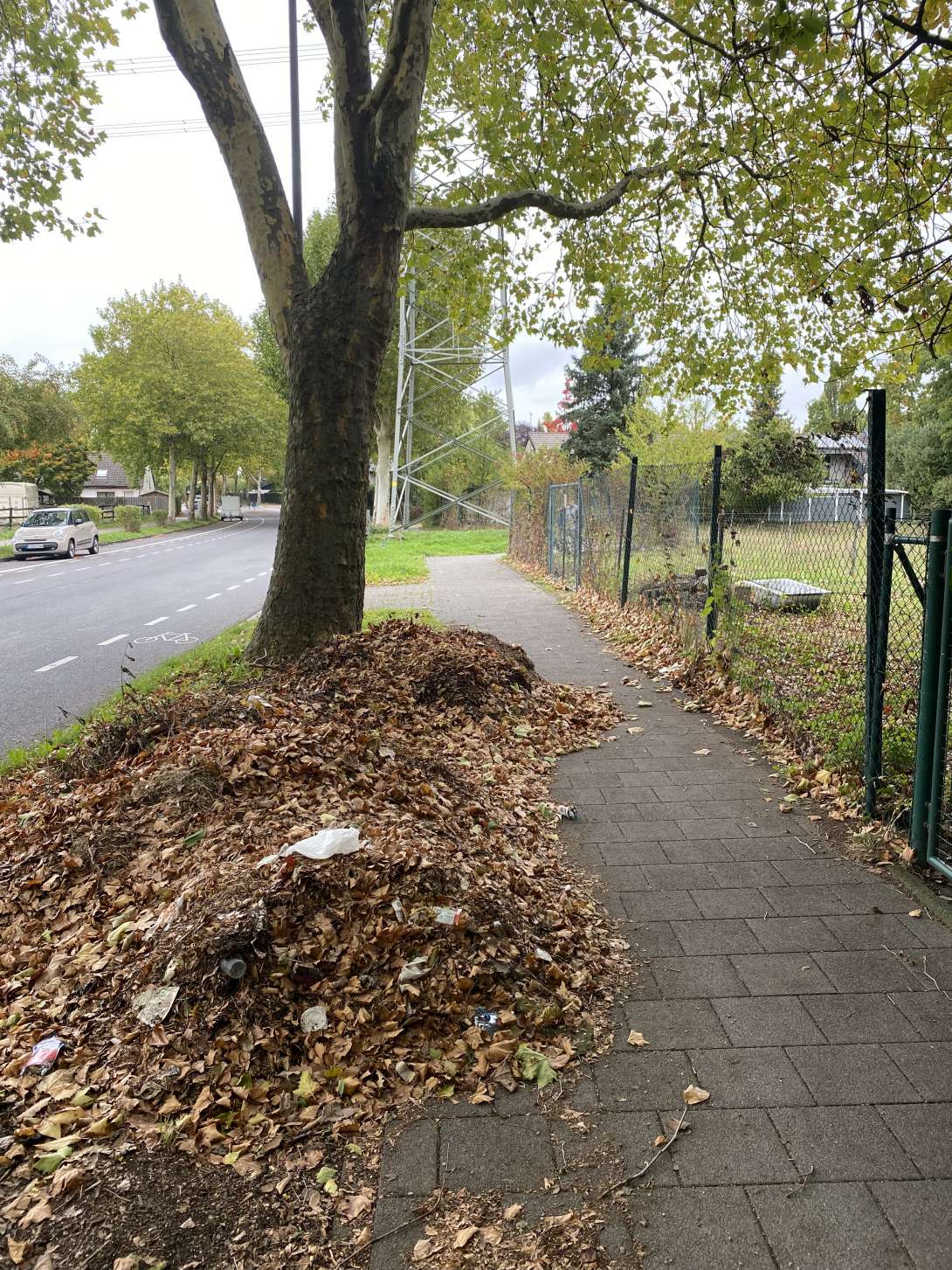 Bild zu gemeldetem Anliegen vom *2025-10-06 12:08:26