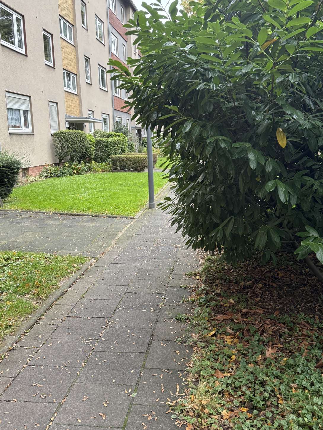 Bild zu gemeldetem Anliegen vom *2025-10-17 12:15:03