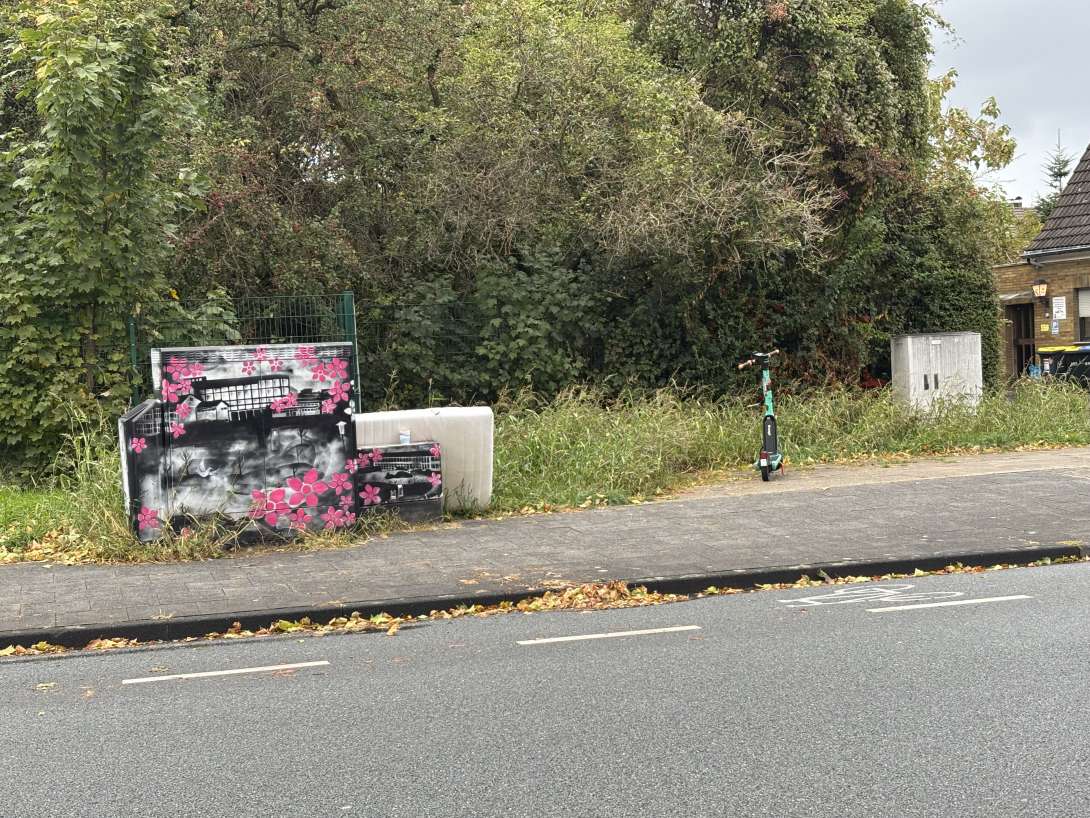 Bild zu gemeldetem Anliegen vom *2025-10-06 07:23:09