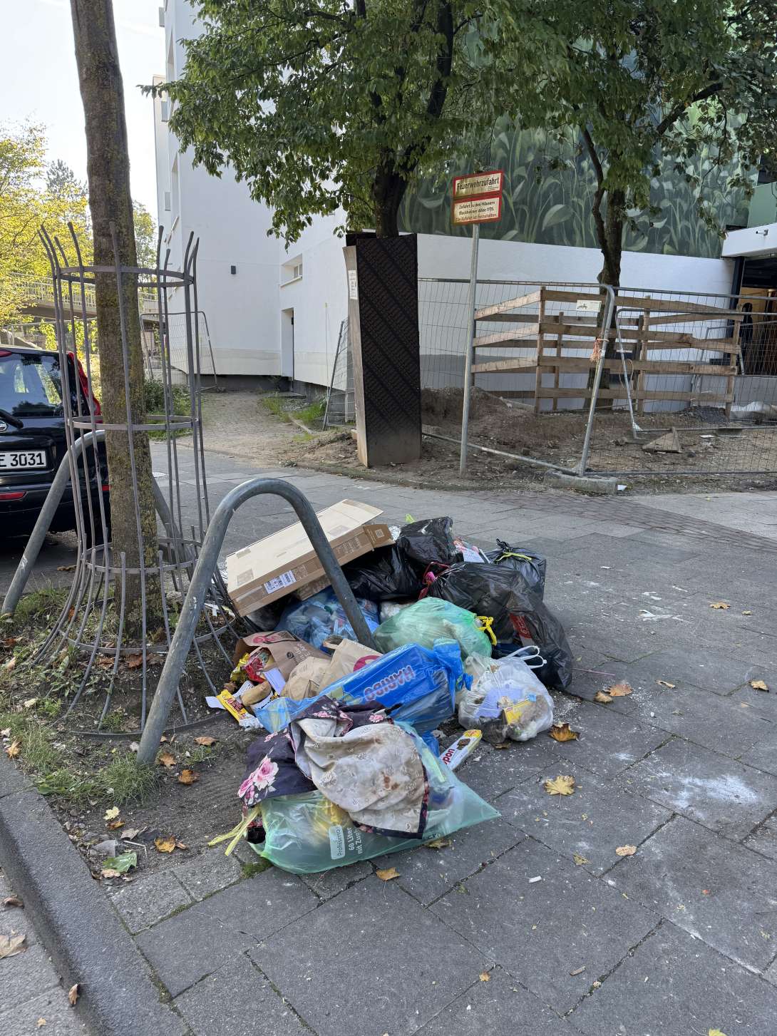 Bild zu gemeldetem Anliegen vom *2025-10-02 18:55:16