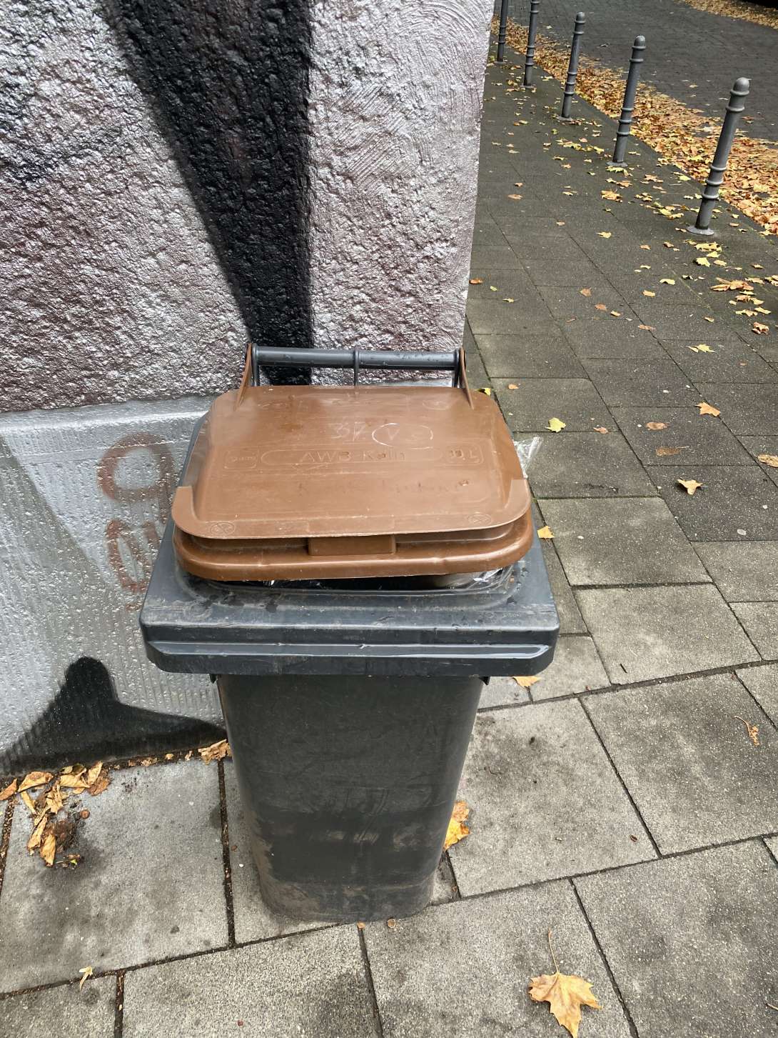 Bild zu gemeldetem Anliegen vom *2025-10-06 09:45:50