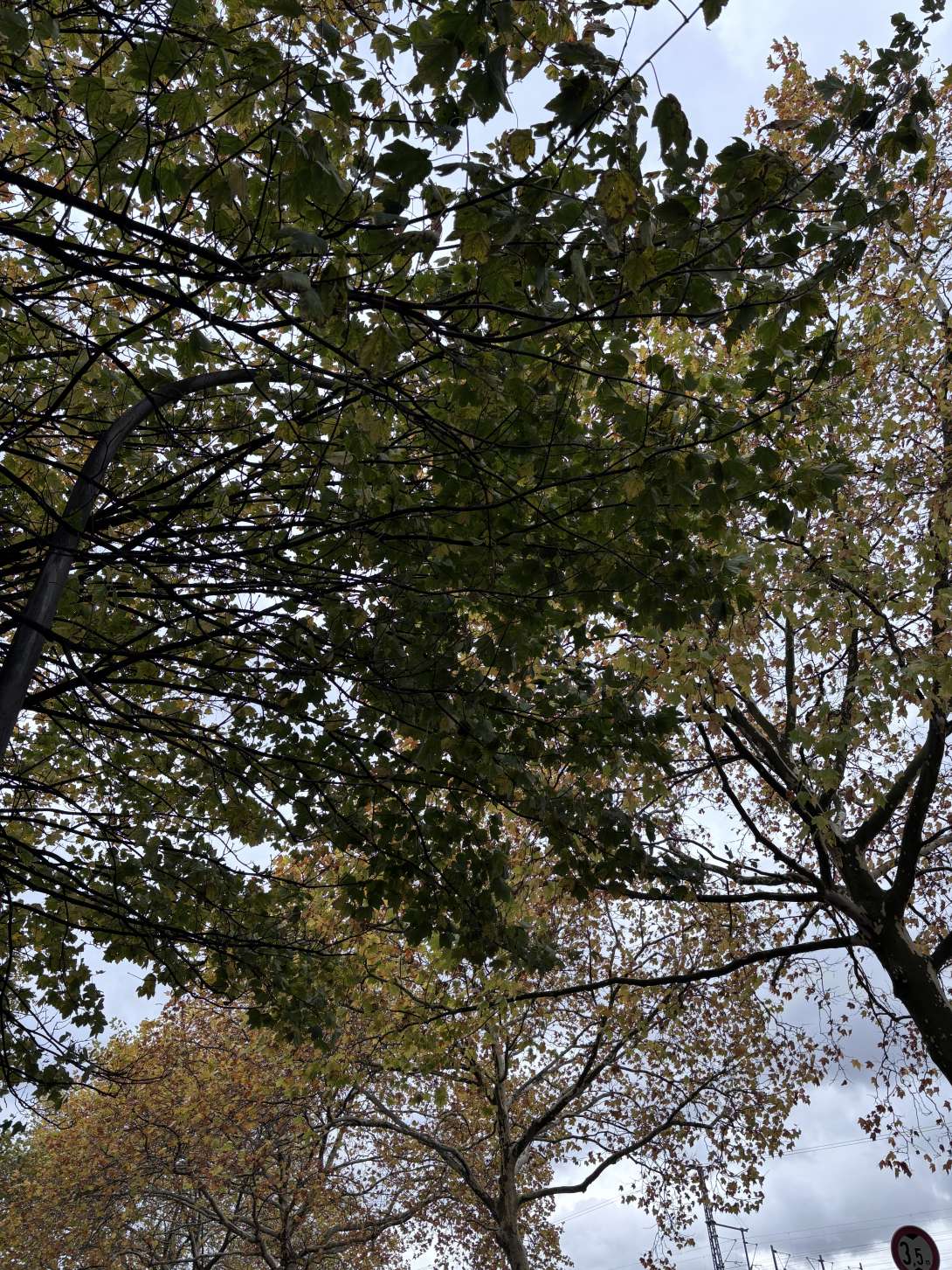 Bild zu gemeldetem Anliegen vom *2025-10-28 15:18:57