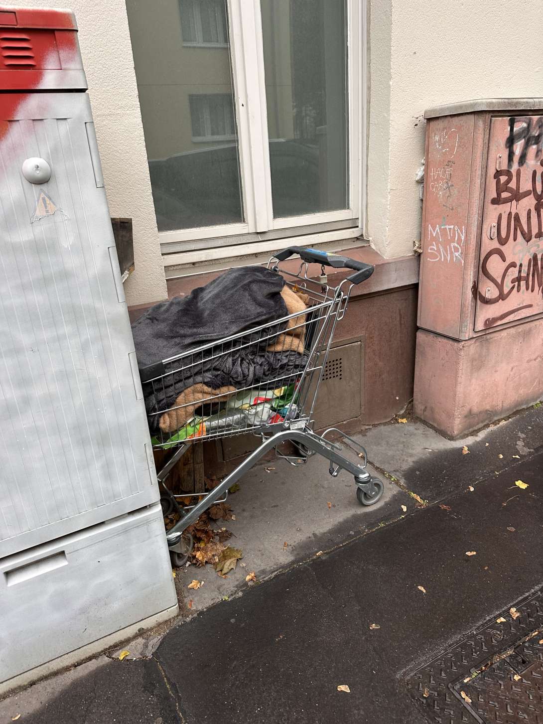 Bild zu gemeldetem Anliegen vom *2025-10-25 11:31:30