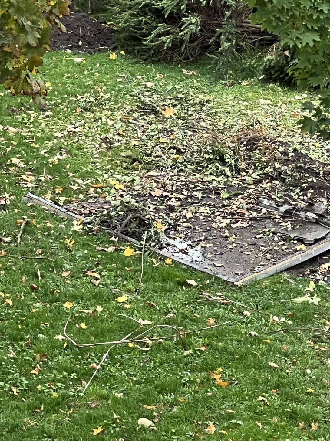 Bild zu gemeldetem Anliegen vom *2025-10-23 14:09:45