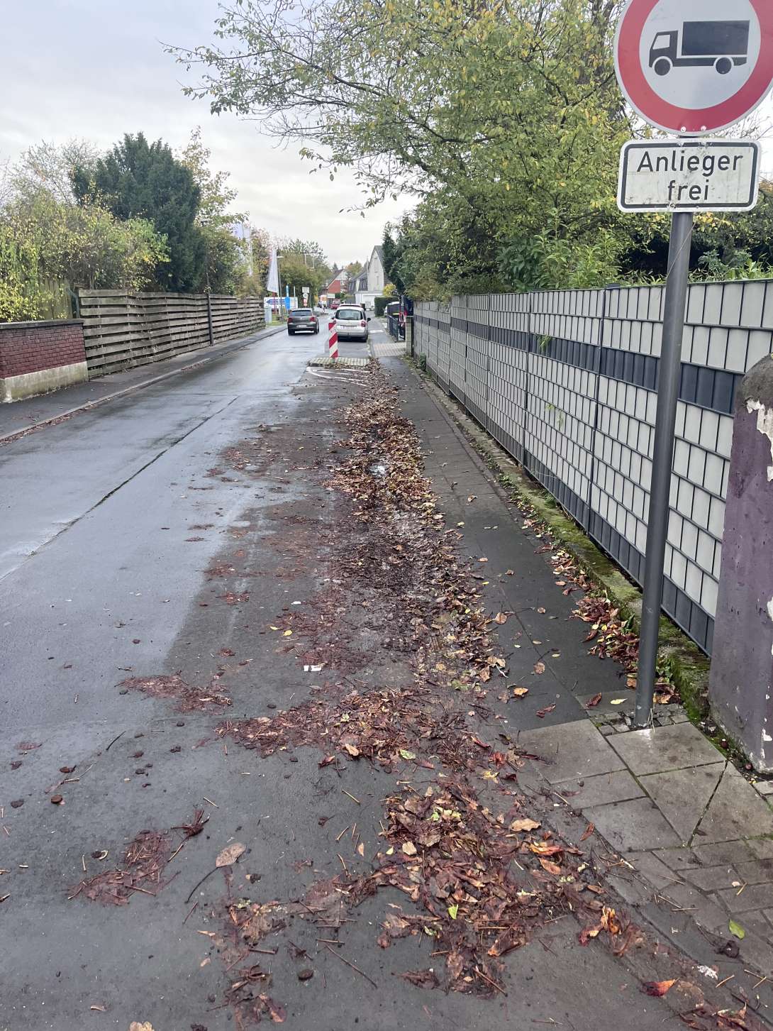 Laub / nicht gereinigte Straße / verstopfte Gullys