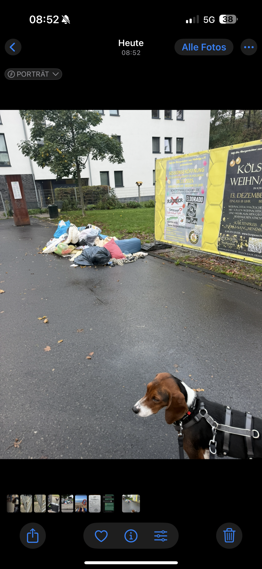 Bild zu gemeldetem Anliegen vom *2025-10-17 08:54:14