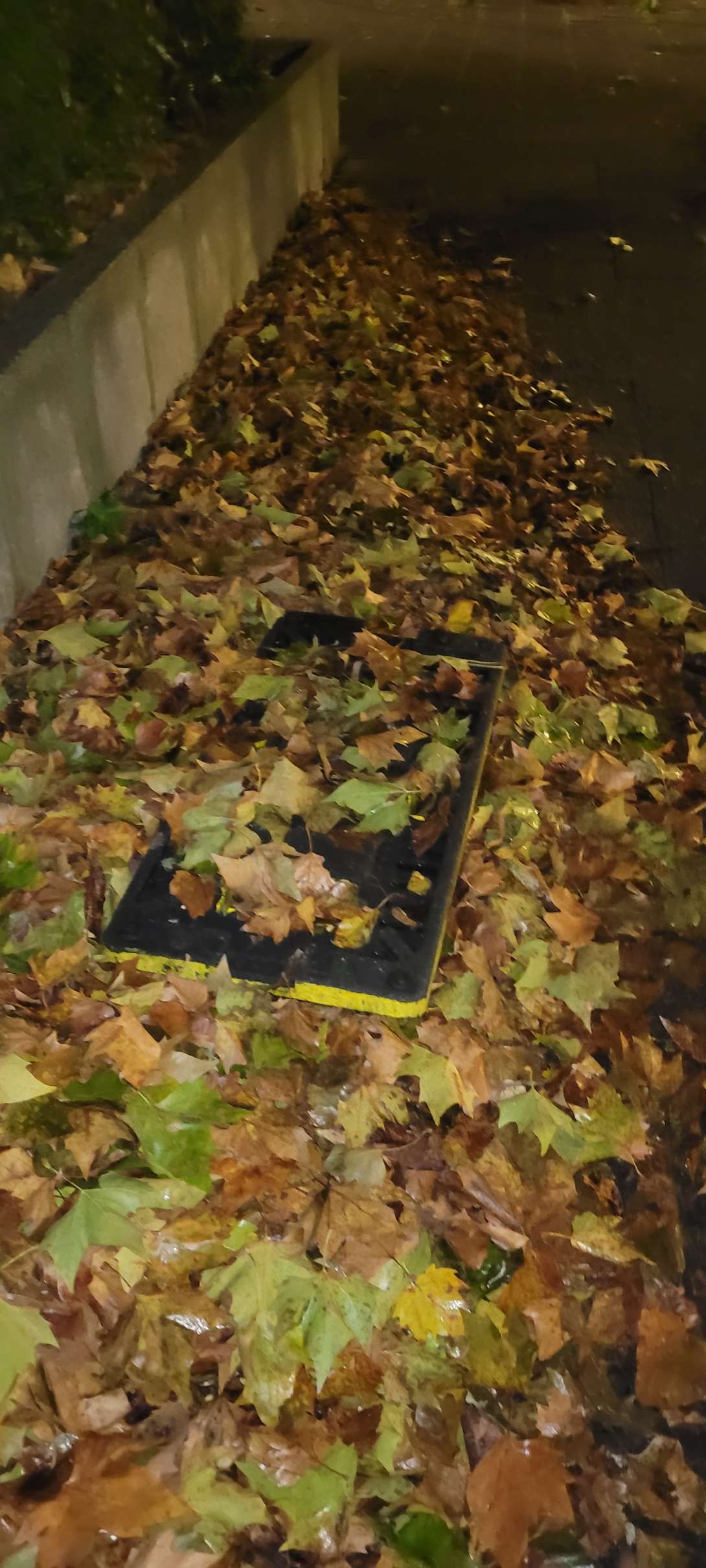 Bild zu gemeldetem Anliegen vom *2025-10-28 05:57:48