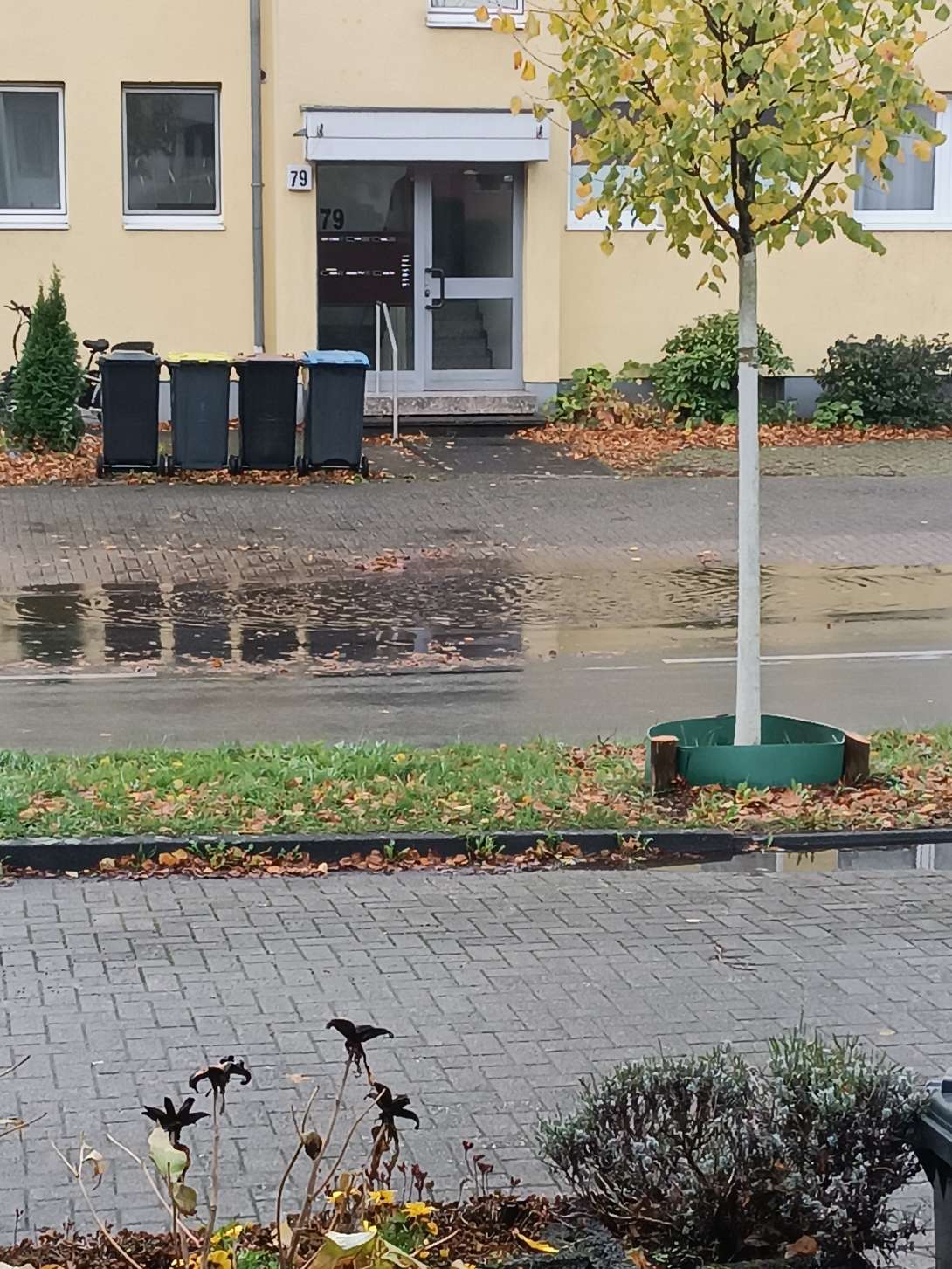 Bild zu gemeldetem Anliegen vom *2025-10-28 15:03:08