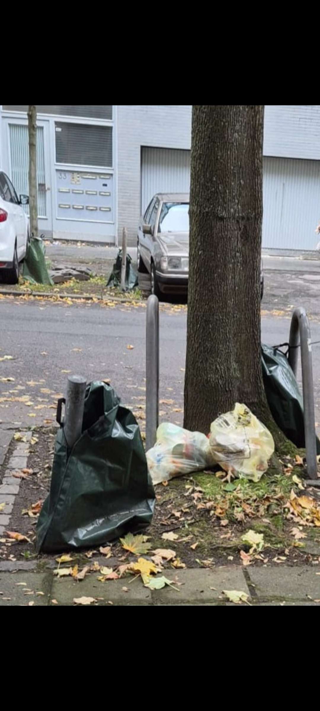 Bild zu gemeldetem Anliegen vom *2025-10-05 20:00:41