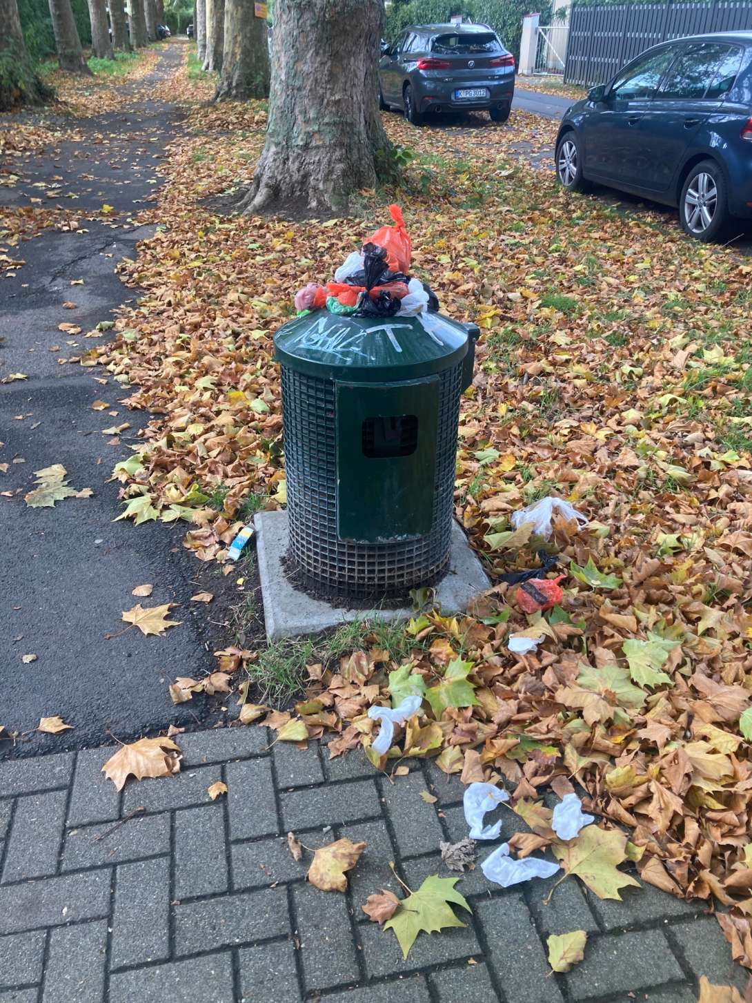 Bild zu gemeldetem Anliegen vom *2025-10-22 09:56:39