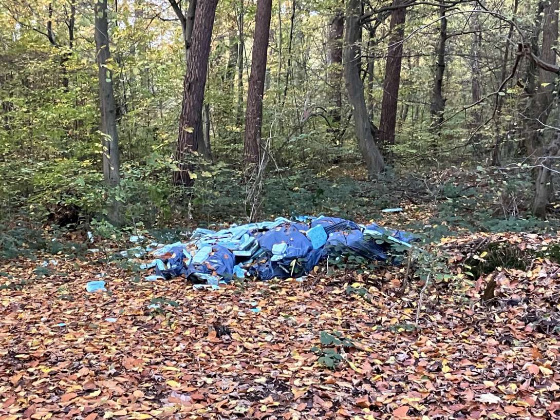 Bild zu gemeldetem Anliegen vom *2025-11-03 08:16:02