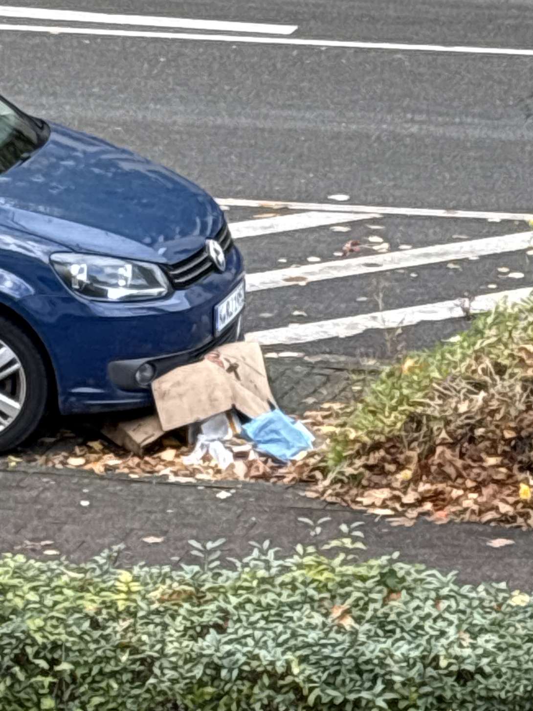 Bild zu gemeldetem Anliegen vom *2025-10-23 10:27:57