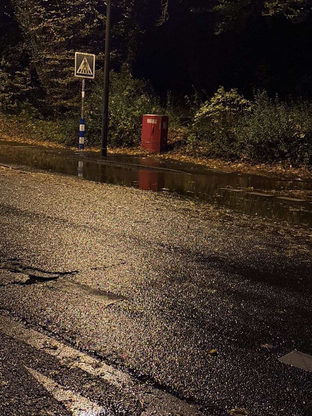 Bild zu gemeldetem Anliegen vom *2025-10-23 22:00:21