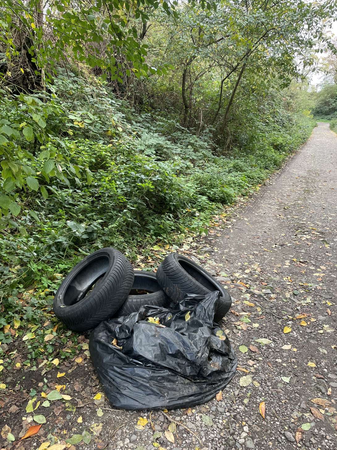 Bild zu gemeldetem Anliegen vom *2025-10-26 15:42:33