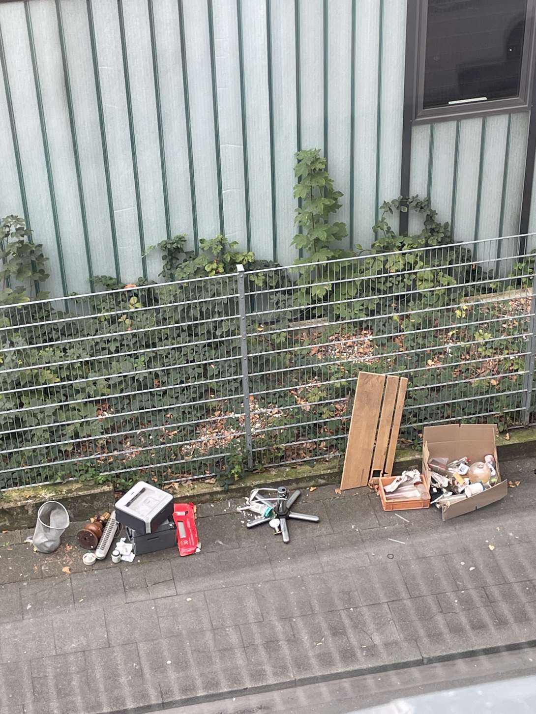 Bild zu gemeldetem Anliegen vom *2025-10-03 11:34:26