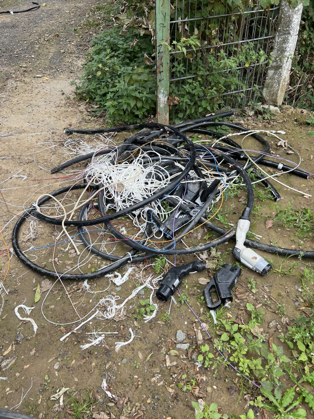 Bild zu gemeldetem Anliegen vom *2025-10-03 16:37:36