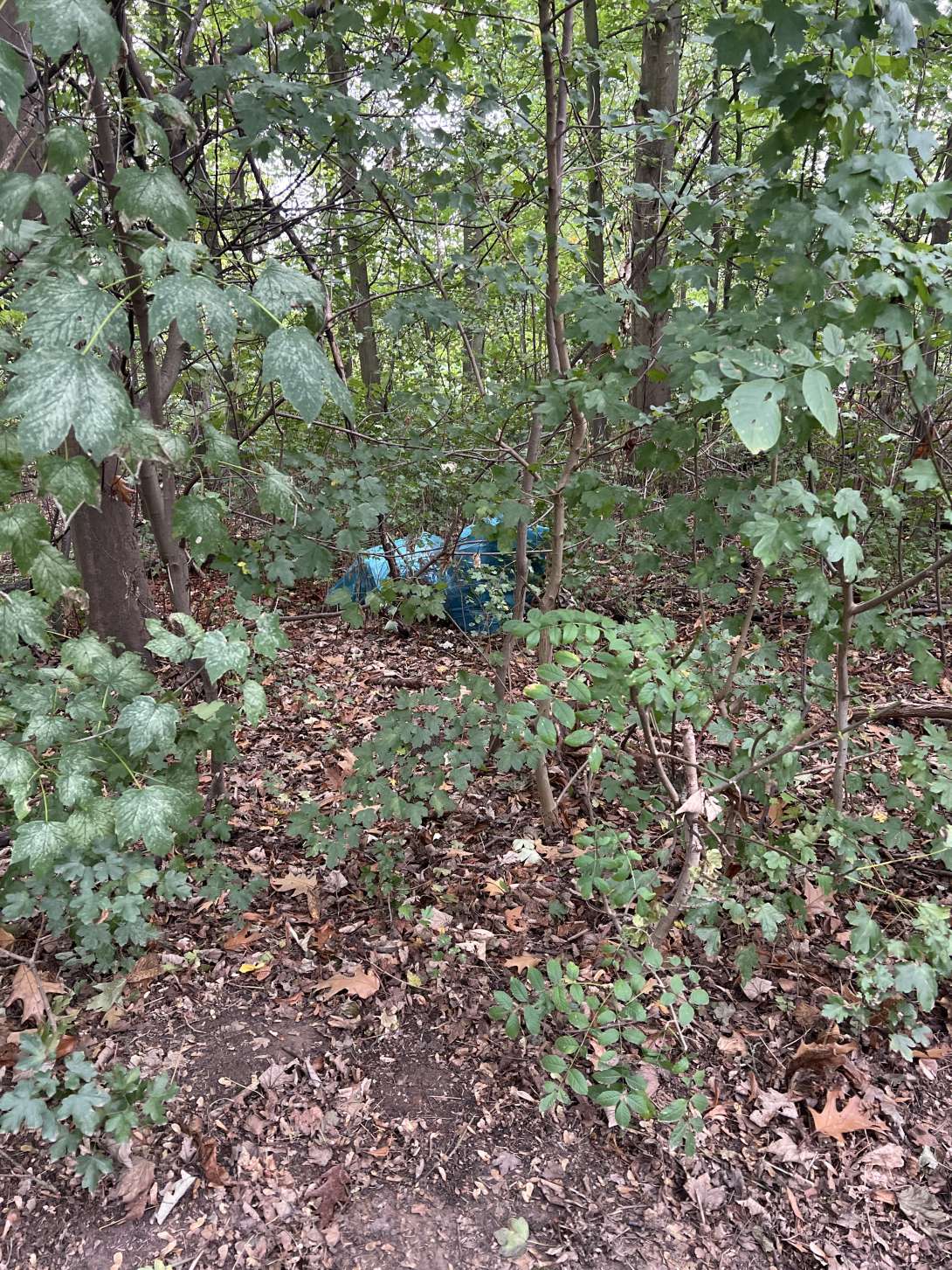 Bild zu gemeldetem Anliegen vom *2025-10-13 09:17:38