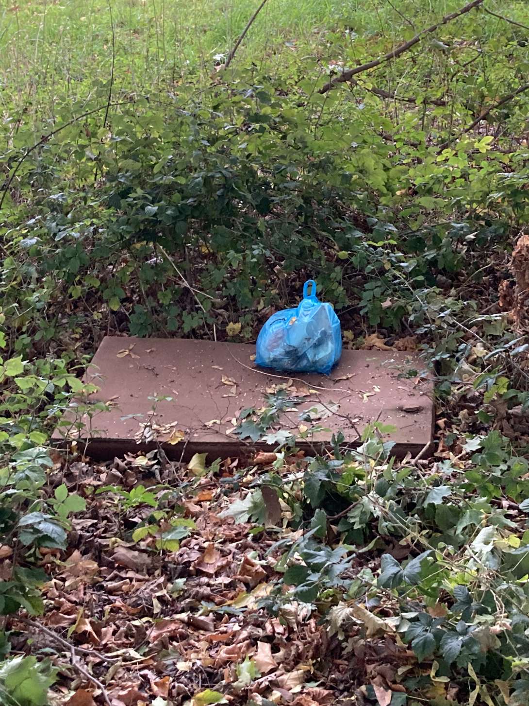 Bild zu gemeldetem Anliegen vom *2025-10-06 16:27:53