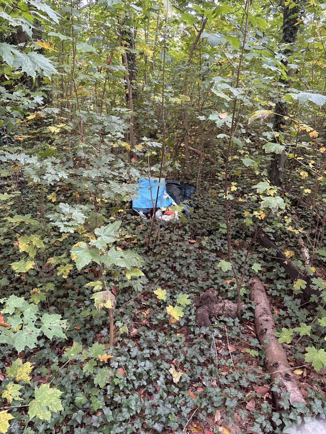 Bild zu gemeldetem Anliegen vom *2025-10-13 15:26:54