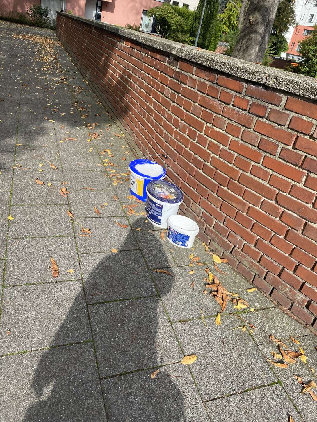 Bild zu gemeldetem Anliegen vom *2025-10-15 13:36:19