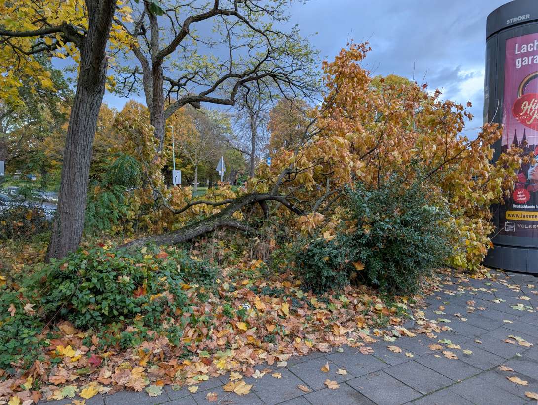 Bild zu gemeldetem Anliegen vom *2025-11-02 17:02:11