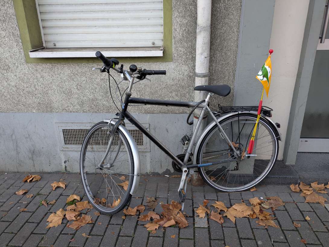 Bild zu gemeldetem Anliegen vom *2025-11-20 12:31:11