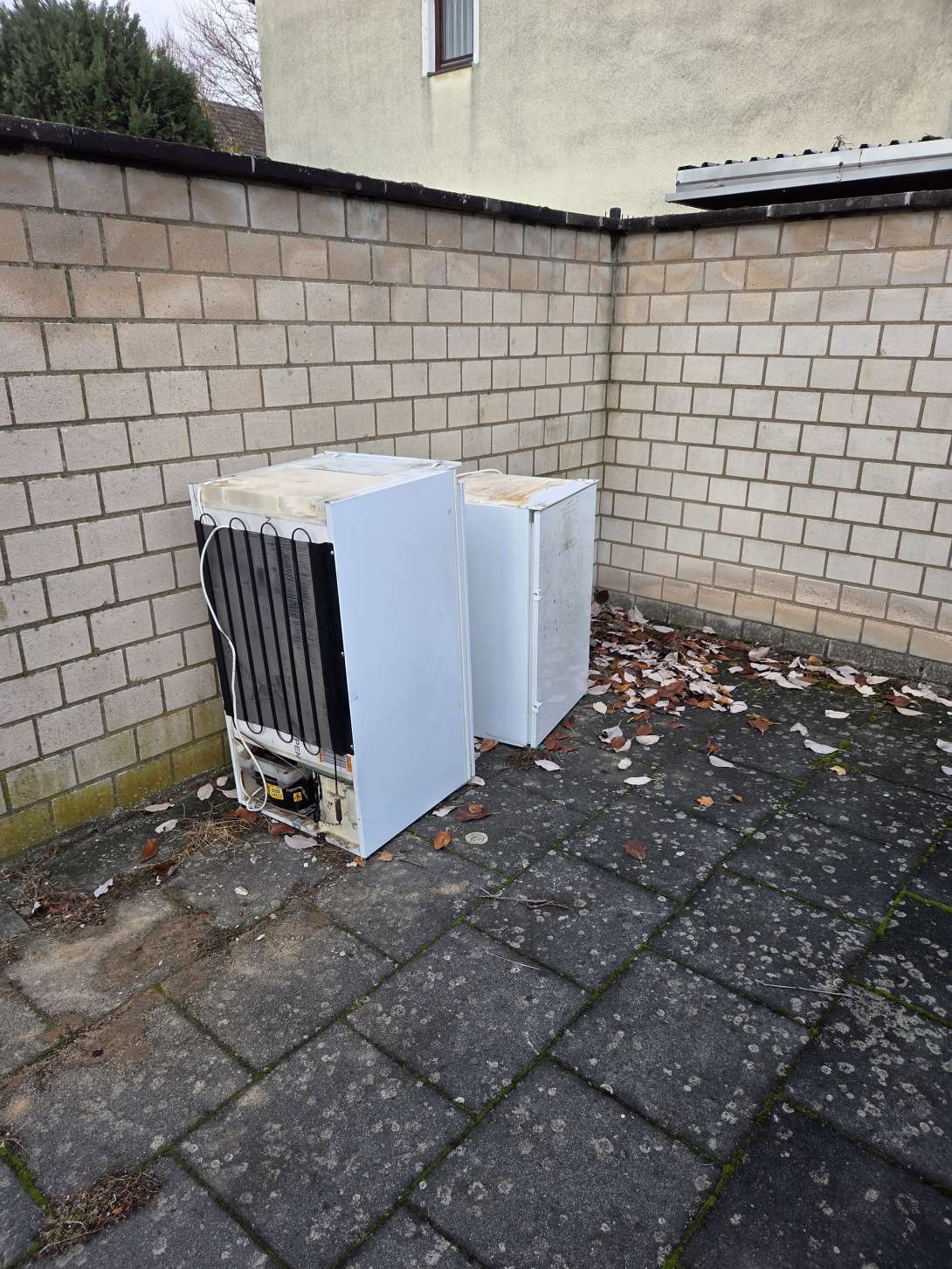 Bild zu gemeldetem Anliegen vom *2025-11-17 15:11:12