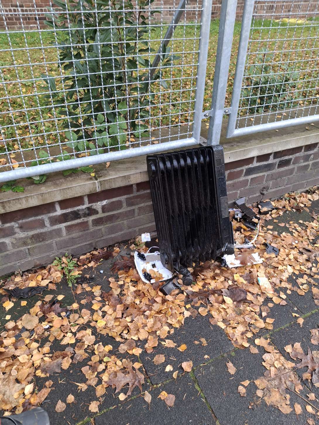 Bild zu gemeldetem Anliegen vom *2025-11-24 15:26:58