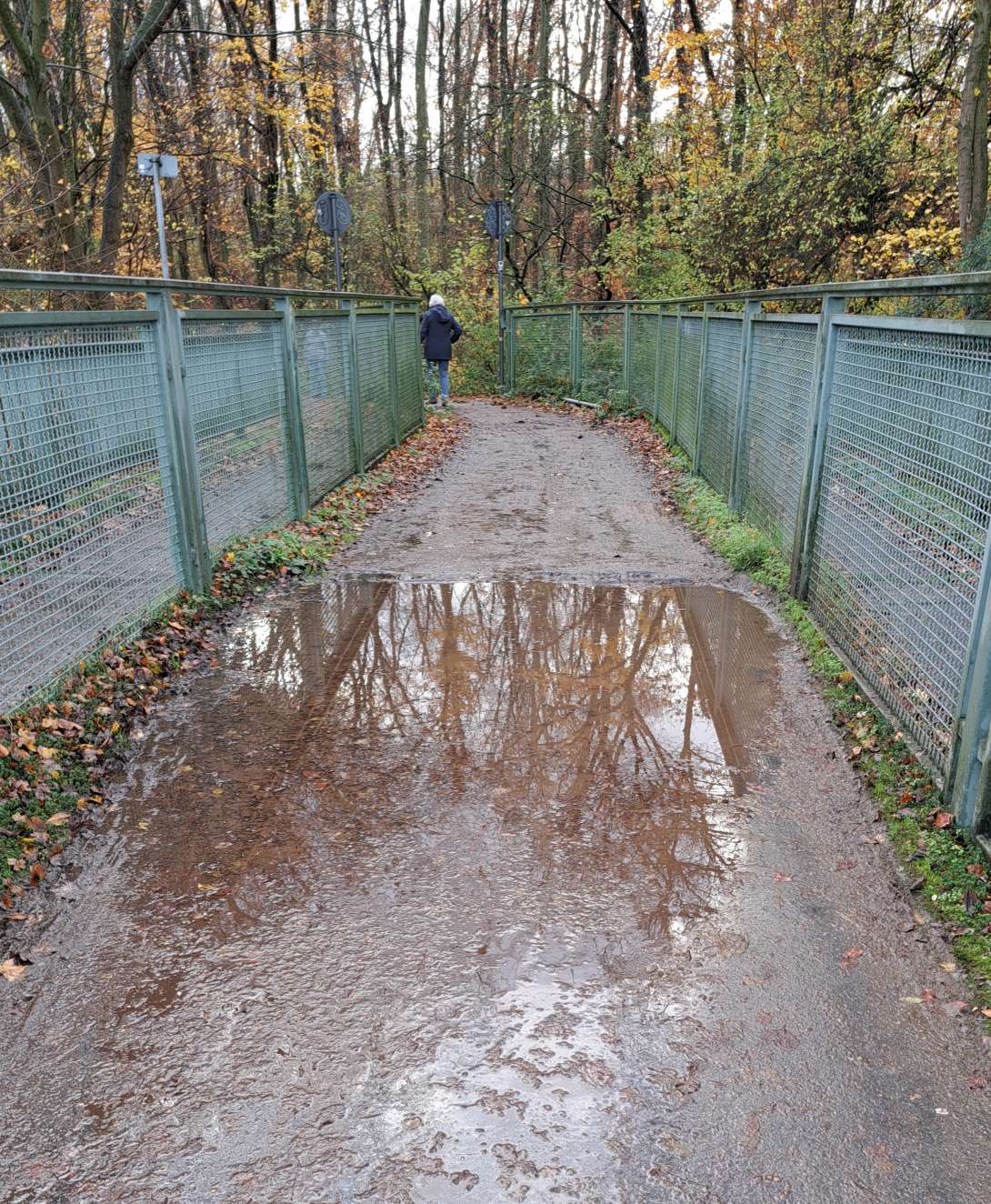 Bild zu gemeldetem Anliegen vom *2025-11-19 12:11:35