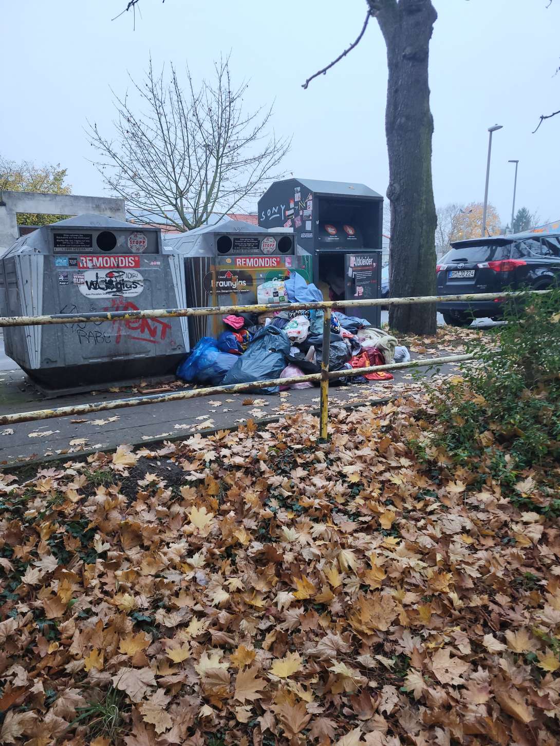 Bild zu gemeldetem Anliegen vom *2025-11-10 11:14:12