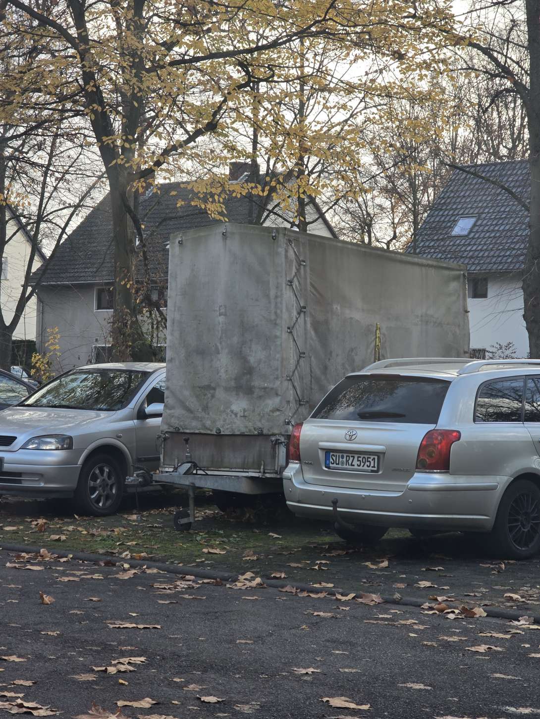 Bild zu gemeldetem Anliegen vom *2025-11-20 09:30:20