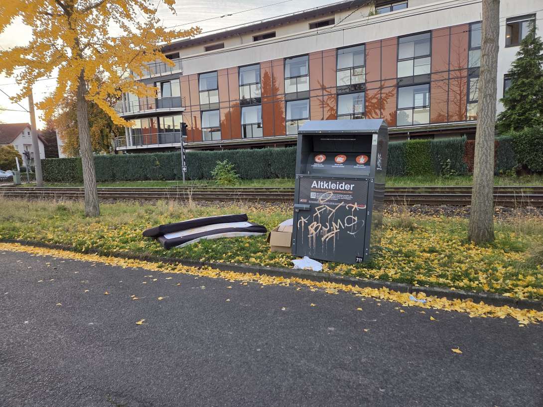 Bild zu gemeldetem Anliegen vom *2025-11-06 07:57:48