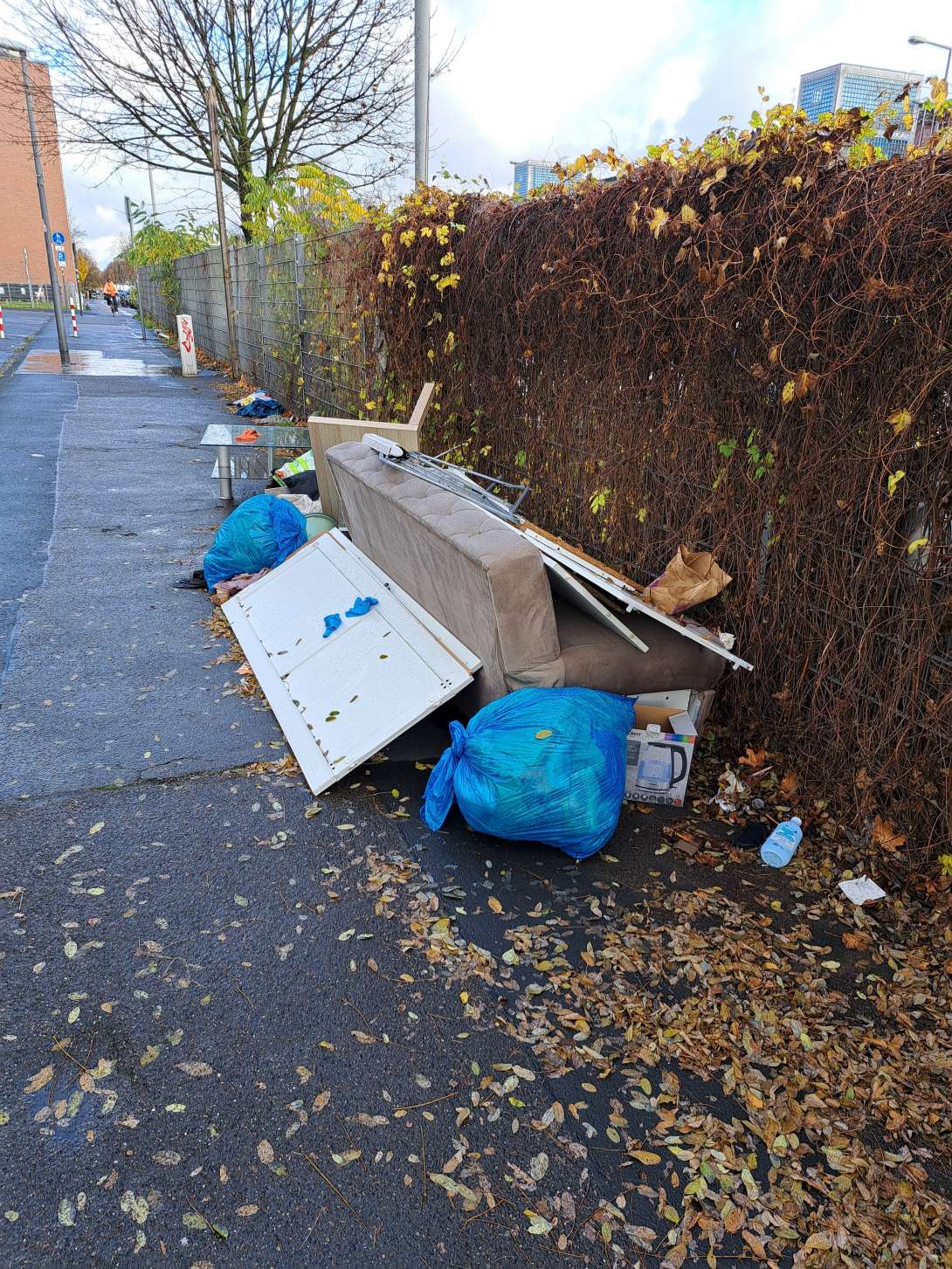 Bild zu gemeldetem Anliegen vom *2025-11-17 14:54:11