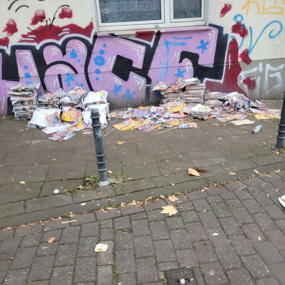 Bild zu gemeldetem Anliegen vom *2025-11-14 18:47:09