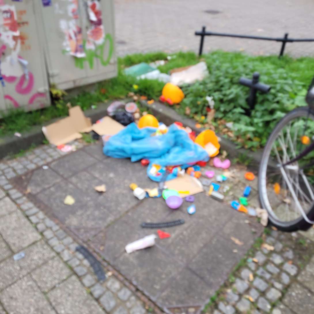 Bild zu gemeldetem Anliegen vom *2025-11-17 10:39:43