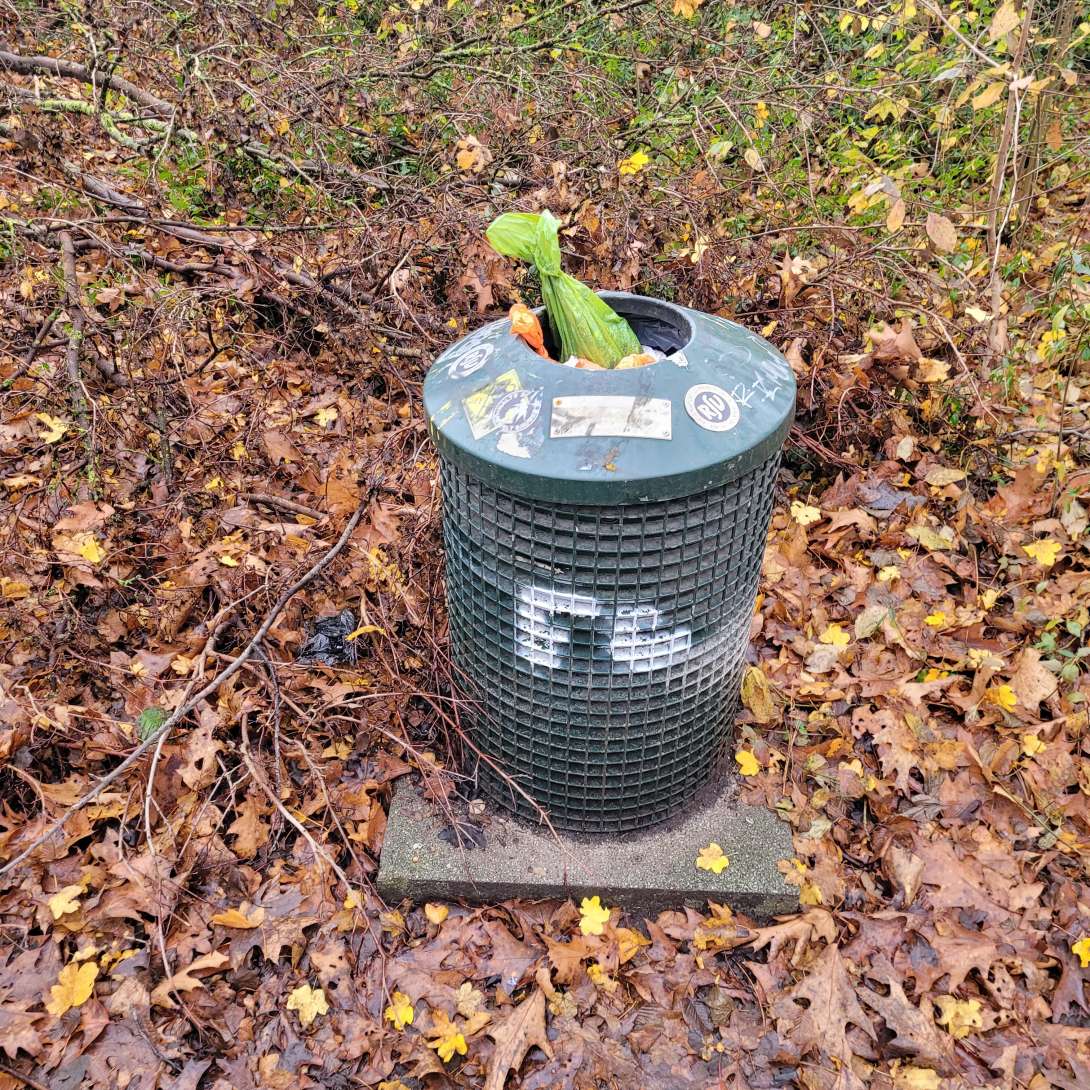 Bild zu gemeldetem Anliegen vom *2025-11-17 12:59:18